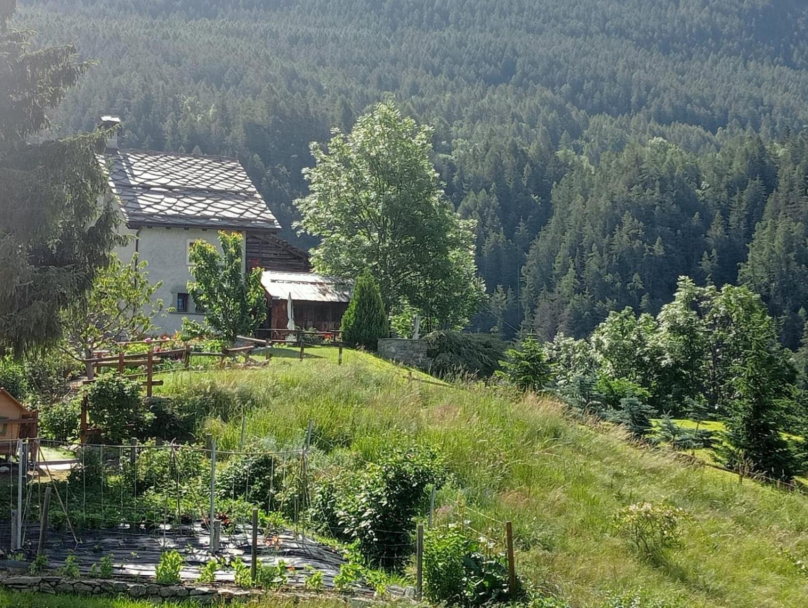 Home Sweet Home Antey-Saint-Andre Exterior photo